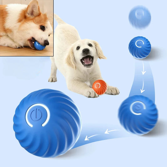 Interactive Dog ball