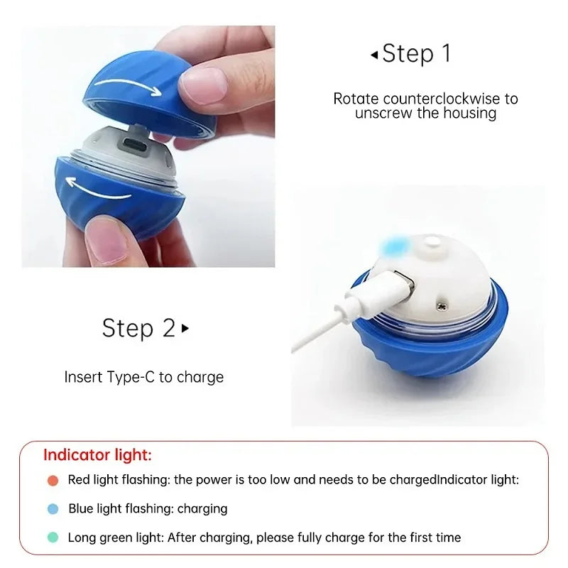Interactive Dog ball