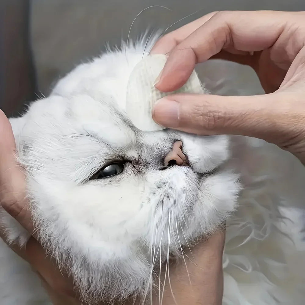 PetBright