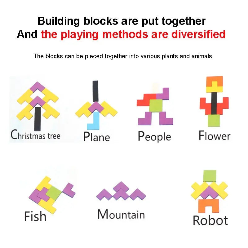 MindBlocks Montessori Puzzle Set