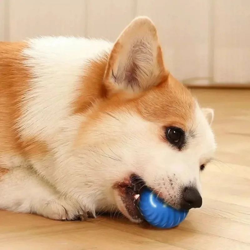 Interactive Dog ball