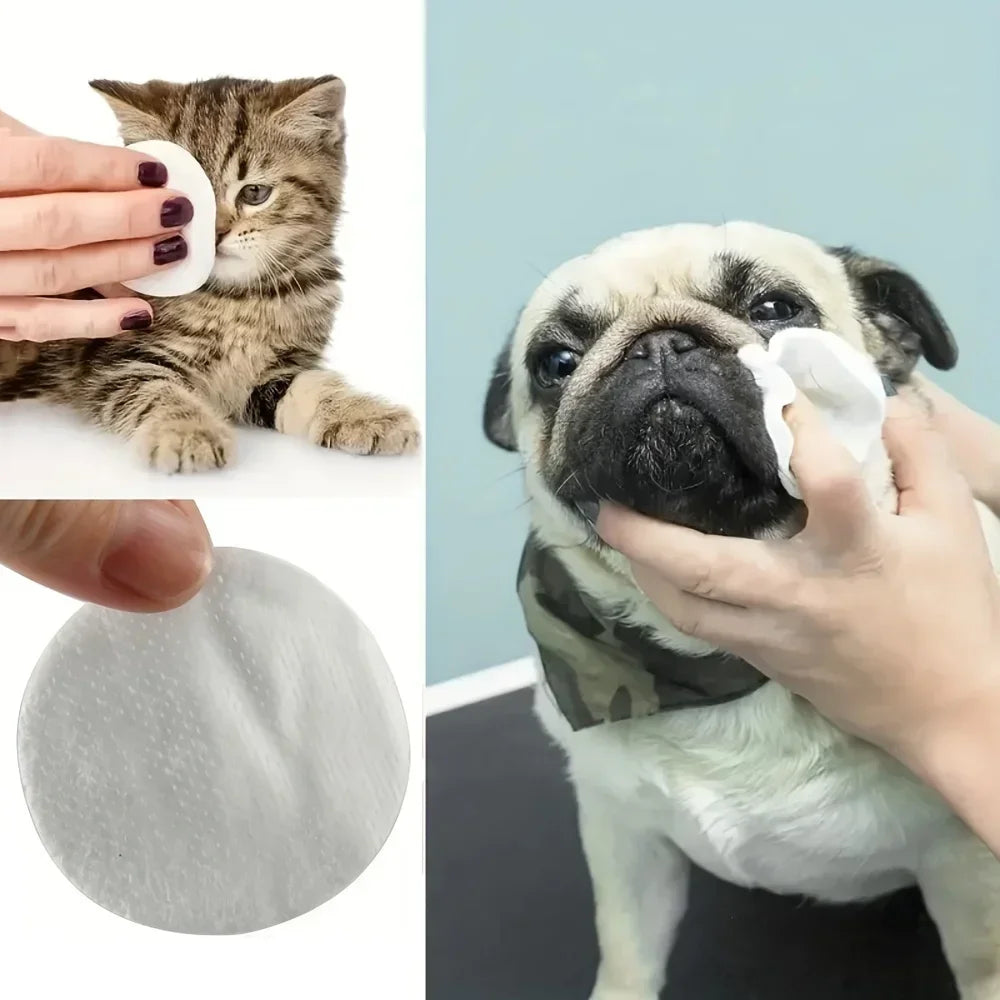 PetBright