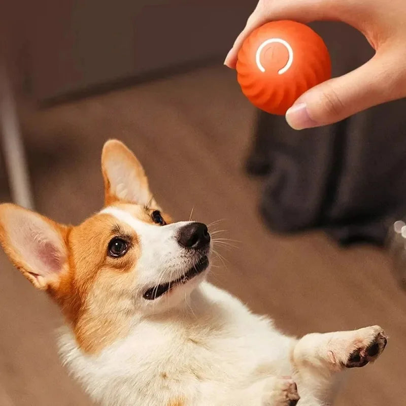 Interactive Dog ball